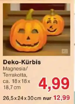 Jawoll Deko-Kürbis Angebot