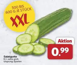 Famila Nord West Salatgurke Angebot