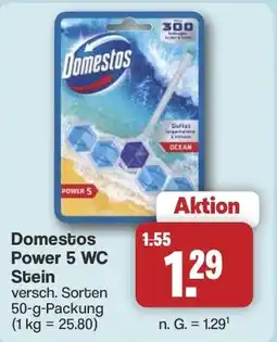Famila Nord West Domestos Power 5 WC Stein Angebot
