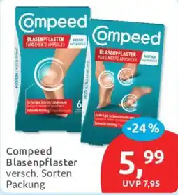 Budni Compeed Blasenpflaster Angebot
