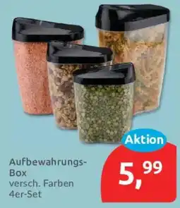Budni Aufbewahrungs-Box Angebot