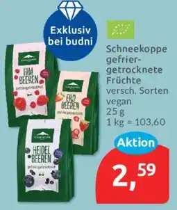 Budni Schneekoppe gefriergetrocknete Früchte Angebot