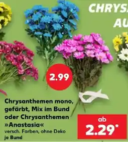 Kaufland Chrysanthemen mono, gefärbt, Mix im Bund oder Chrysanthemen »Anastasia« Angebot