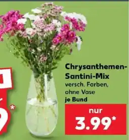 Kaufland Chrysanthemen-Santini-Mix Angebot