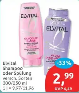 Budni Elvital Shampoo oder Spülung Angebot