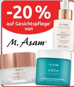 Budni M. Asam Angebot