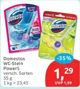 Budni Domestos WC-Stein Power5 Angebot