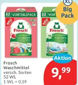 Budni Frosch Waschmittel Angebot