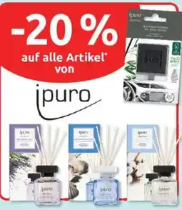 Budni ipuro Angebot