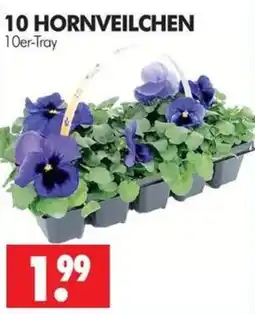 Wreesmann 10 HORNVEILCHEN Angebot