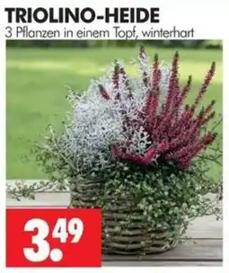 Wreesmann TRIOLINO-HEIDE Angebot