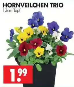 Wreesmann HORNVEILCHEN TRIO Angebot