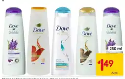 Rusta Shampoo Dove Angebot
