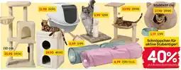 Rusta Schnäppchen für aktive Stubentiger! Angebot