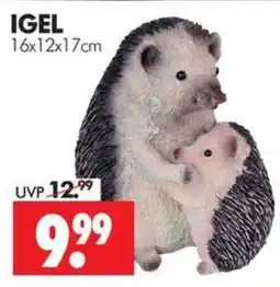 Wreesmann IGEL Angebot