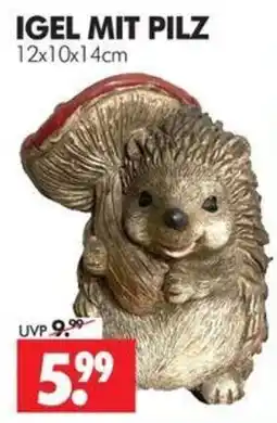 Wreesmann IGEL MIT PILZ Angebot