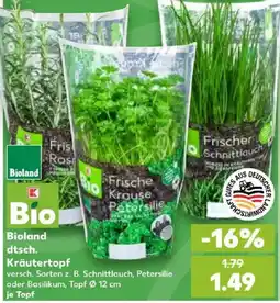 Kaufland Bioland Bio Kräutertopf Angebot