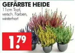 Wreesmann GEFÄRBTE HEIDE Angebot