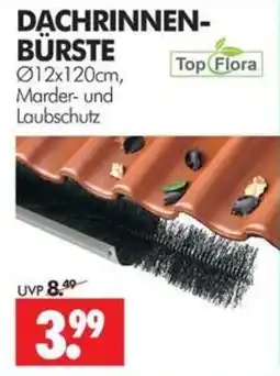 Wreesmann Dachrinnen-Bürste Top Flora Angebot