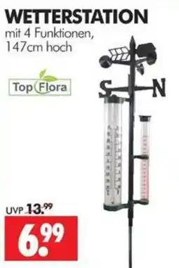 Wreesmann WETTERSTATION Top Flora Angebot