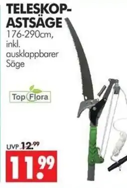 Wreesmann TELESKOP-ASTSÄGE Angebot