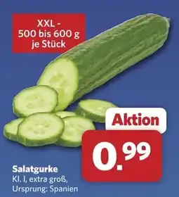 Combi Salatgurke Angebot