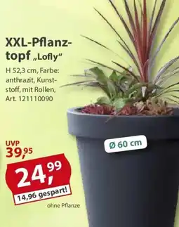 Sonderpreis Baumarkt XXL-Pflanztopf,,Lofly" Angebot