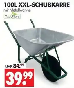 Wreesmann 100L XXL-SCHUBKARRE mit Metallwanne Top Flora Angebot