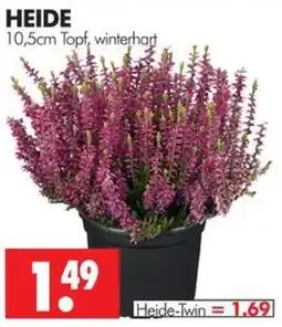 Wreesmann HEIDE Angebot