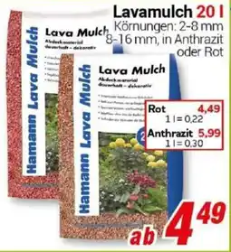 CENTERSHOP Lava Mulch Angebot