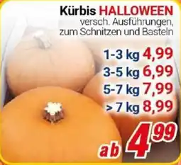 CENTERSHOP Kürbis HALLOWEEN Angebot