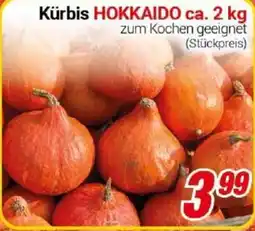 CENTERSHOP Kürbis HOKKAIDO Angebot