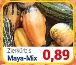 CENTERSHOP Zierkürbis Maya-Mix Angebot