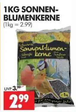Wreesmann Sonnenblumenkerne Angebot