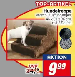 CENTERSHOP Hundetreppen Angebot