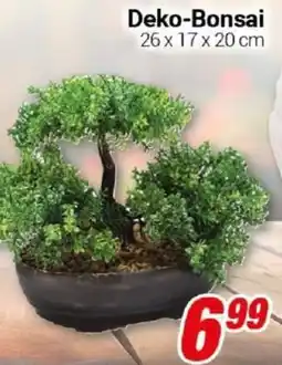 CENTERSHOP Deko-Bonsai Angebot
