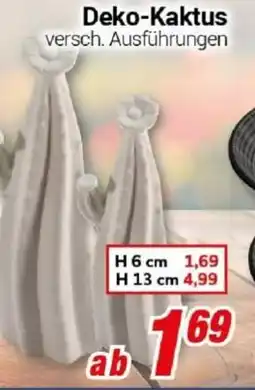 CENTERSHOP Deko-Kaktus Angebot
