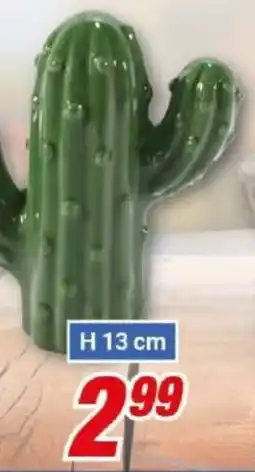 CENTERSHOP Cactus Angebot