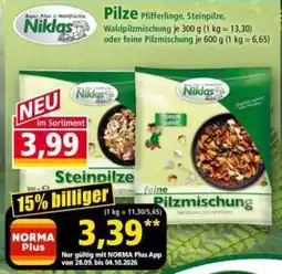Norma Niklas Pilze Angebot