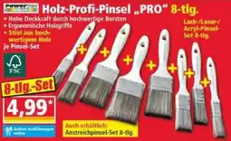 Norma Holz-Profi-Pinsel PRO Angebot