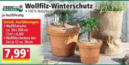 Norma Wollfilz-Winterschutz Angebot