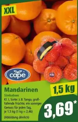Norma cape Mandarinen Angebot