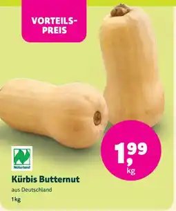 Biomarkt Kürbis Butternut Angebot