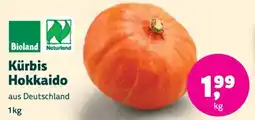 Biomarkt Kürbis Hokkaido Angebot