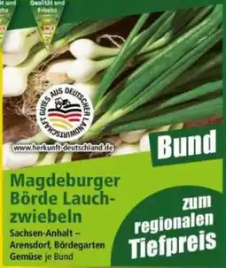 Norma Magdeburger Börde Lauchzwiebeln Angebot