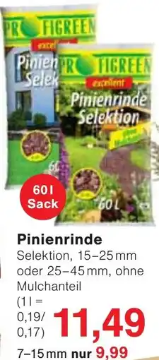 Wiglo Wunderland FIGREEN Pinienrinde Selektion Angebot