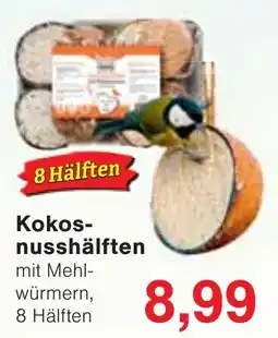 Wiglo Wunderland Kokosnussshälften Angebot