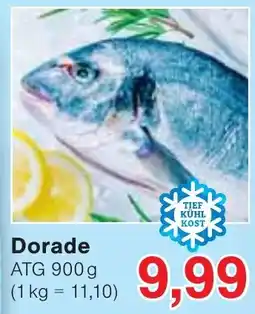 Wiglo Wunderland Dorade Angebot