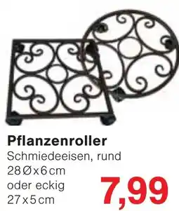 Wiglo Wunderland Pflanzenroller Schmiedeeisen Angebot
