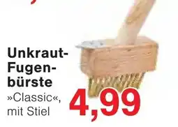 Wiglo Wunderland Unkrautfugenbürste »Classic«, mit Stiel Angebot